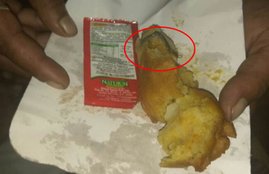 insect in train food