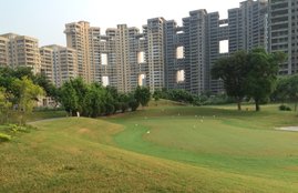 Jaypee, Jaypee Infra, Jaypee Flats, Jaypee Flat Scam, Jaypee Infra Cheat, Jaypee Builders Case, Jaypee Builders Insolvent