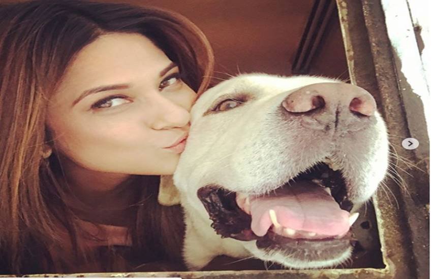 jennifer winget, jennifer winget intresting facts, jennifer winget photos, jennifer winget television actress, jennifer winget first movie, jennifer winget first tv series, shakalaka boom boom actress, jennifer winget and karan singh grover, jennifer winget and past life, jennifer winget's life facts, jennifer winget photo gallery, television news in hindi, entertainment, jansatta