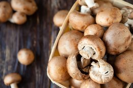 Narendra Modi, narendra modi fairness, narendra modi alpesh thakur conflict, alpesh thakur verdict, gujrat election, mushroom, muhroom benefits, mushroom benefits in hindi, mushroom benefits for skin in hindi, mushroom in hindi, skin benefits of mushroom in hindi, fairness with mushroom in hindi, lifestyle news in hindi, skin health in hindi, jansatta