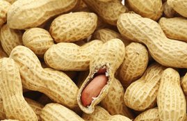 Peanuts, Heart Diseases, Heart, Heart attack, After Meal, Diet Tips, Healthy Diet Tips, Peanuts After Meal, Heart Problems Tips, Heart Health Tips, Lifestyle Tips, Health News In Hindi, Jansatta
