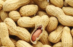 भोजन के साथ करेंगे मूंगफली का सेवन तो दूर रहेंगी दिल की बीमारियां