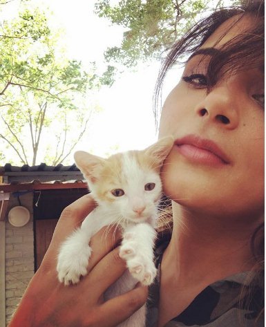 richa chadda, richa chadda pet love, fukrey returns, inside edge, Richa chadda Hot Images, Richa chadda movies