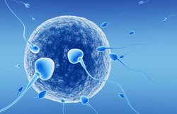 पुरुषों में जीवन भर नहीं बंद होता है स्पर्म बनना, यहां पढ़ें स्पर्म से जुड़े और तथ्य