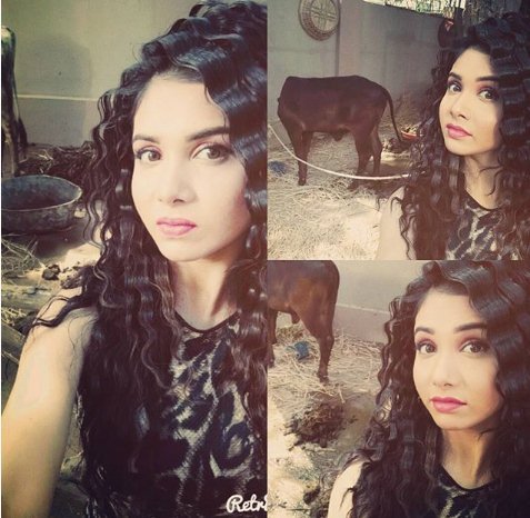 Rajat Tokas,Tanu Khan,Chandra Nandini,extra marital affair,Television,Television News, Tanu Khan Helna, TV Actress Tanu khan