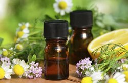 जानिए त्वचा और बालों की खूबसूरती के लिए क्या हैं जोजोबा के तेल के फायदे