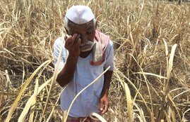 Farmer