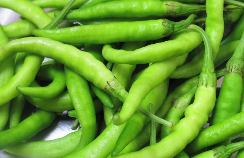 Green Chilli, Benefits Of Green Chilli, Green Chilli For Eyes, Green Chilli For Cancer, Green Chilli For Sugar, Red Chilli, Health Benefits Of Green Chilli, Health News In Hindi, Lifestyle News In Hindi, Jansatta