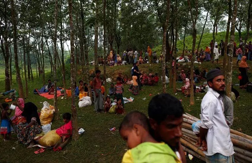 Mamata Banerjee, Mamata Banerjee on rohingya, west bengal cm Mamata Banerjee on rohingya muslims, united nation on rohingya, united nation appeal to India on rohingya, rohingya not terrorist, Narendra modi government, hindi news, jansatta