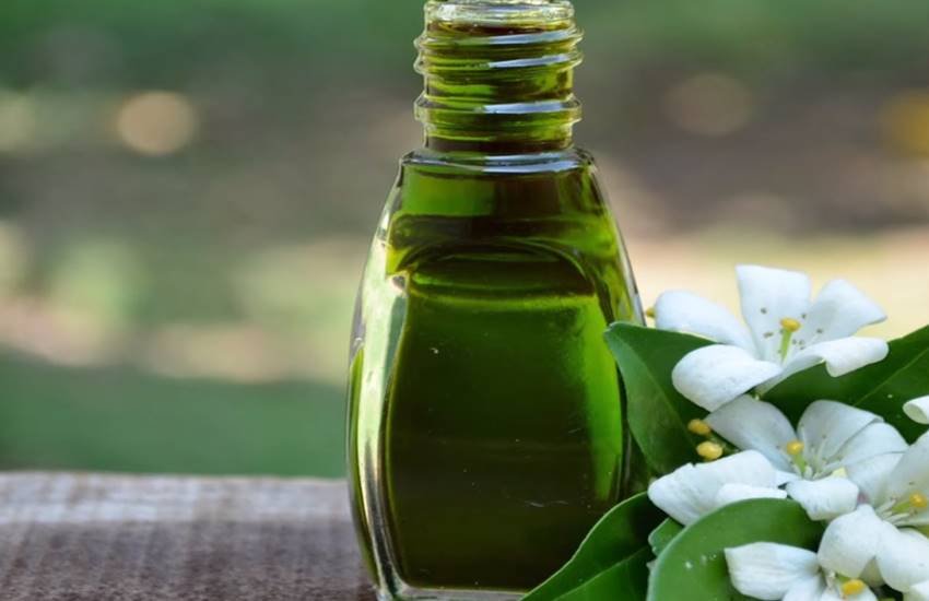 bhringraj oil , benefits of bhringraj oil, benefits of bhringraj oil for hair in hindi, benefits of bhringraj oil for Depression in hindi, Ayurvedic Treatents For Hair, ayurvedic treatment for hair fall in hindi, ayurvedic treatment for hair growth in hindi, ayurvedic treatment for hair dandruff in hindi, lifestyle news in hindi, jansatta