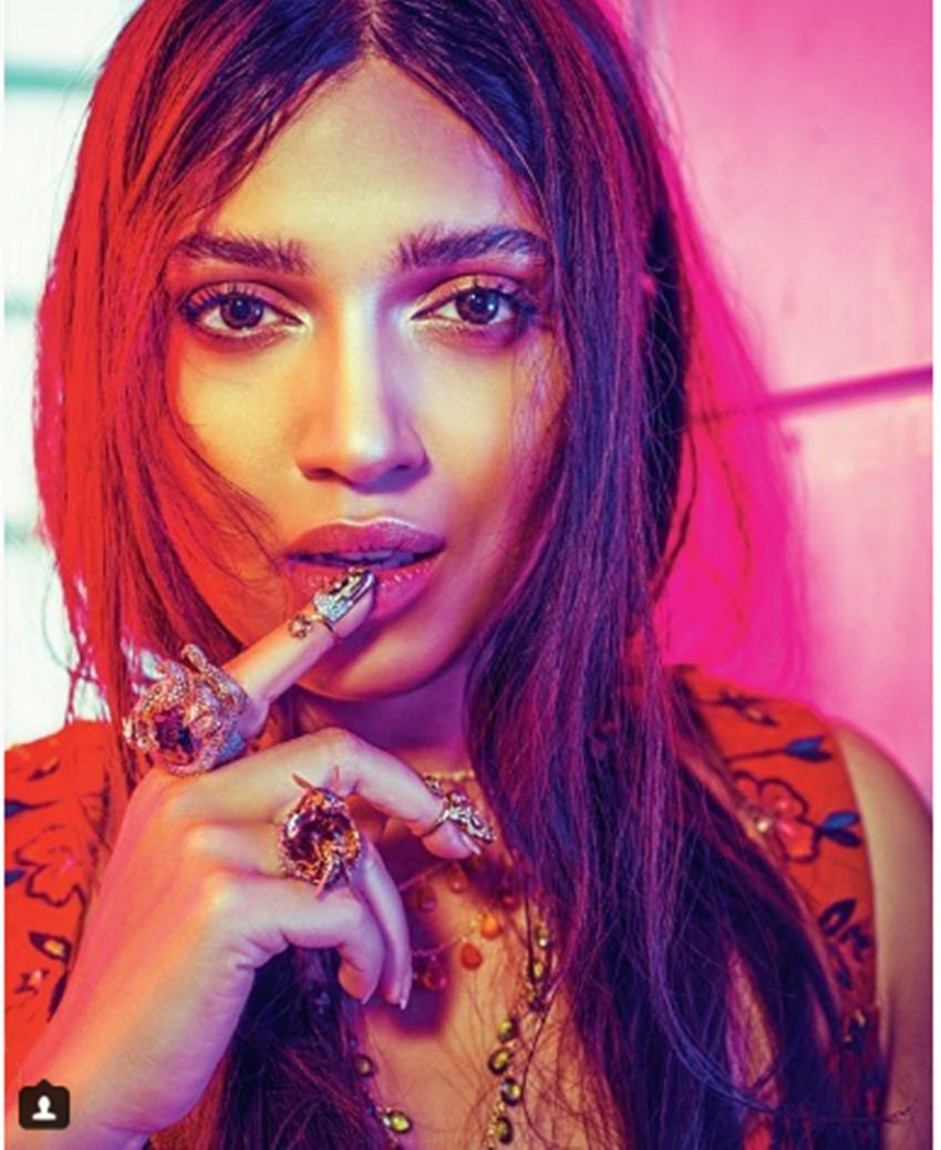 bhumi pednekar, bhumi pednekar shubh mangal saavdhan, shubh mangal saavdhan, bhumi pednekar news, bhumi pednekar updates, Toilet Ek Prem katha