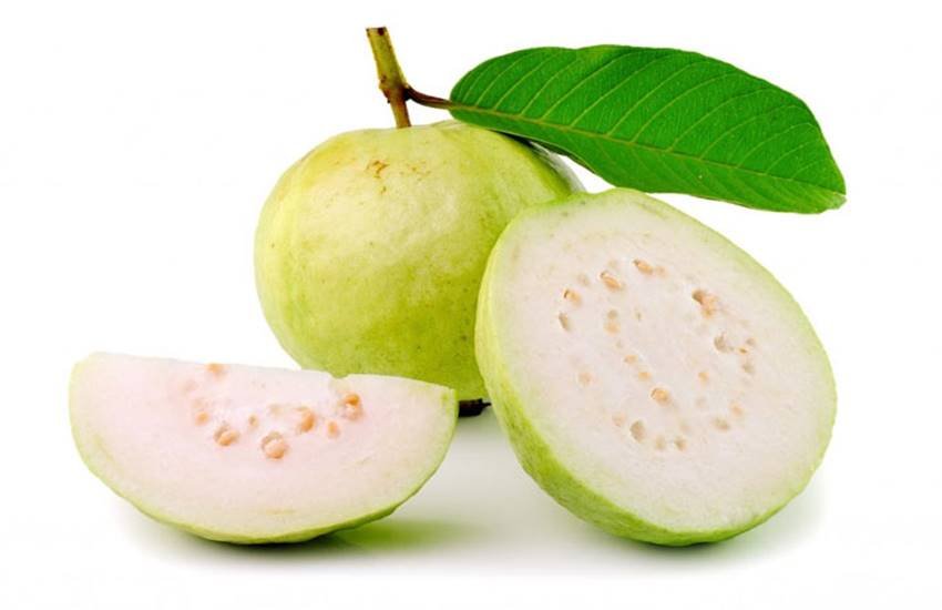 Guava, Guava Fruit,Guava Leaves, Hair Fall, Hair Fall Solution, Guava Leaves For Hair Fall, Hair Treatments, Vitamin B, Hair Growth, Beauty Tips In Hindi, Lifestyle News In Hindi, Jansatta Guava, Guava Fruit,Guava Leaves, Hair Fall, Hair Fall Solution, Guava Leaves For Hair Fall, Hair Treatments, Vitamin B, Hair Growth, Beauty Tips In Hindi, Lifestyle News In Hindi, Jansatta