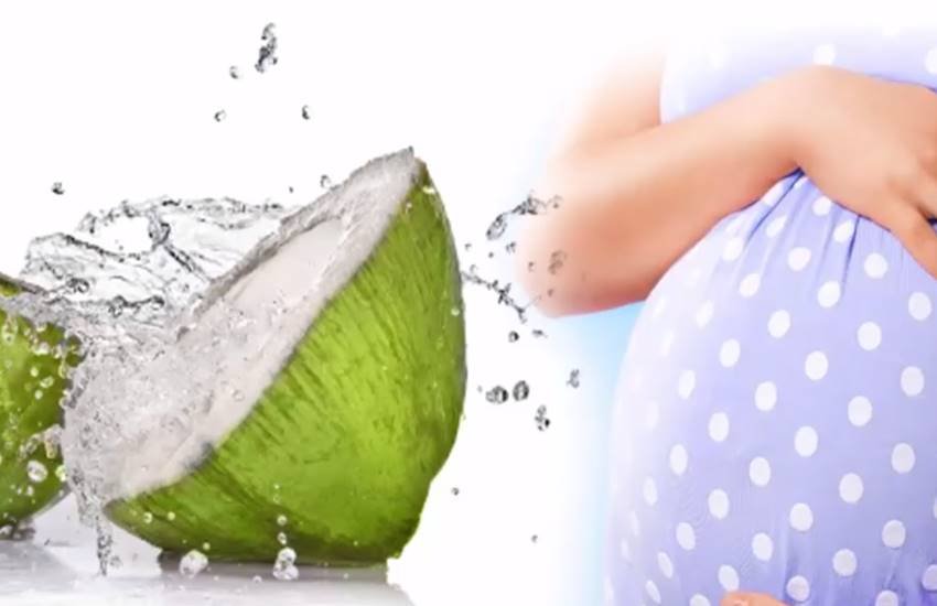 Coconut Benefits, coconut benefits for pregnant, raw coconut benefits for pregnancy, Coconut During Prenancy, Benefits Of Coconuts In Hindi, Pregnancy News In Hindi, Lifestyle News In Hindi, Jansatta