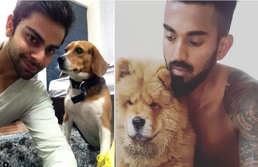 भारतीय कप्तान विराट कोहली और सलामी बल्लेबाज के एल राहुल। भारतीय कप्तान विराट कोहली और सलामी बल्लेबाज के एल राहुल।