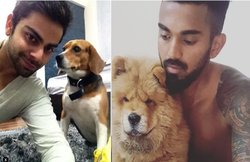 अपने पालतू जानवरों से बहुत प्यार करते हैं ये 5 क्रिकेटर्स, एक ने तो बनवाया हुआ है फार्महाउस