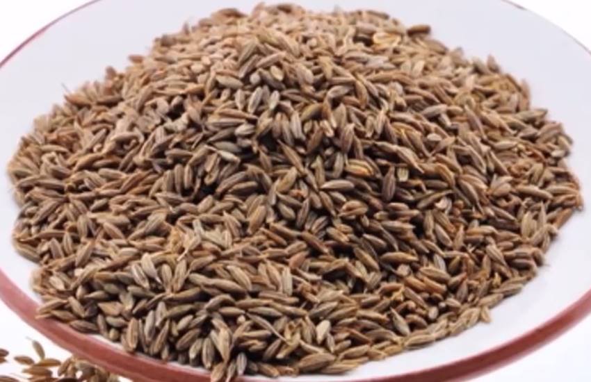 Cumin seeds tea, cumin seeds tea for weight loss in hindi, cumin seeds tea benefits in hindi, research articles on cumin seeds, jeera tea benefits in hindi, jeera tea for weight loss, how to make jeera tea for weight loss in hindi, how to make jeera tea in hindi, health news in hindi, lifestyle news in hindi, jansatta Cumin seeds tea, cumin seeds tea for weight loss in hindi, cumin seeds tea benefits in hindi, research articles on cumin seeds, jeera tea benefits in hindi, jeera tea for weight loss, how to make jeera tea for weight loss in hindi, how to make jeera tea in hindi, health news in hindi, lifestyle news in hindi, jansatta