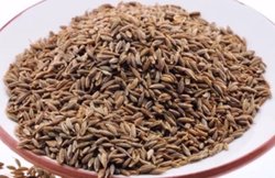 तेजी से वजन घटाना चाहते हैं तो शुरू करें जीरे का सेवन