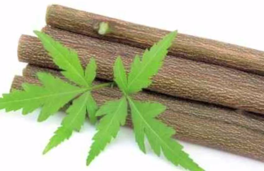 Datun, benefits of using datun, benefits of neem datun in hindi, benefits of babool datun in hindi, benefits of Ber datun in hindi, How To Use Datun, uses of neem datun for teeth, uses of babool datun for teeth, Health News In Hindi, Teeth Health News In Hindi, Jansatta