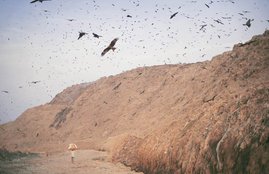 gazipur garbage