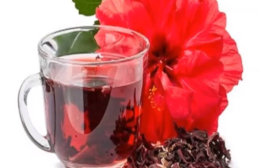 Hibiscus Tea, hibiscus tea benefits, hibiscus tea benefits in hindi, hibiscus tea for cancer, hibiscus tea for cholesterol, hibiscus tea for cough, hibiscus tea for cancer, how to make hibiscus tea in hindi, health news in hindi, jansatta
