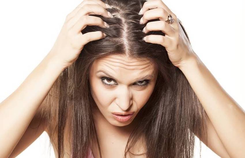 Head Lice, head lice in hindi, head lice treatment home remedy in hindi, how to remove head lice eggs in hindi, how to remove head lice eggs naturally, how to remove head lice eggs from your hair, natural remedies for hair lice, hair problem, hair treatments in hindi, neem oil for hair lice, garlic and lemon for head lice, Lifestyle News In Hindi, Jansatta