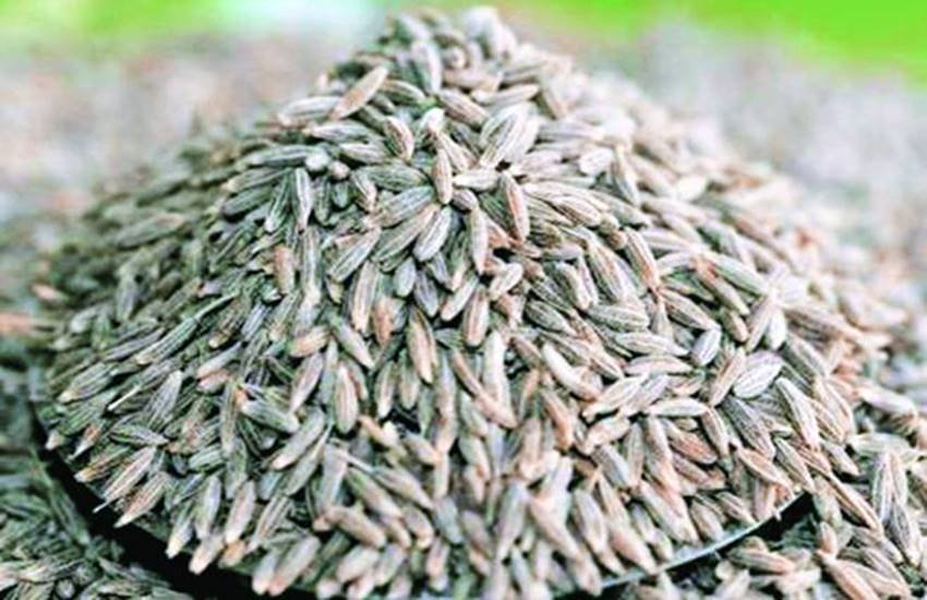 Jeera, Medicinal Properties Of Jeera, Jeera Benefits, Jeera, Home Remedies Of Jeera, Cumin Benefits, Benefits Of Jeera, Health Tips In Hindi, Home Remedies, Lifestyle News In Hindi, Jansatta