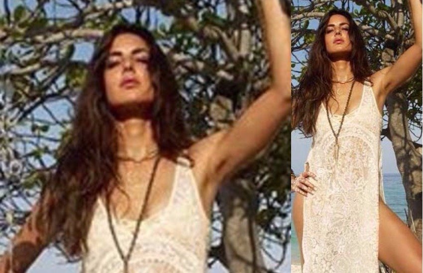 katrina kaif, katrina kaif new throwback picture, katrina with a wonderfull day, under a tree, katrina picture arives on social media katrina kaif, katrina kaif, katrina kaif new throwback picture, katrina with a wonderfull day, under a tree, katrina picture arives on social media katrina kaif, entertainment news in hinid, entertainment news, bollywood updates,bollywood updates in hindi, entertainment news in hinid, entertainment news, bollywood updates,bollywood updates in hindi