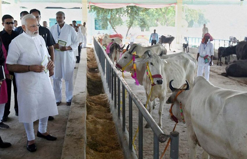 प्रधानमंत्री नरेंद्र मोदी ने आज यहां पशु आरोग्य मेले का उद्घाटन किया। (PTI)