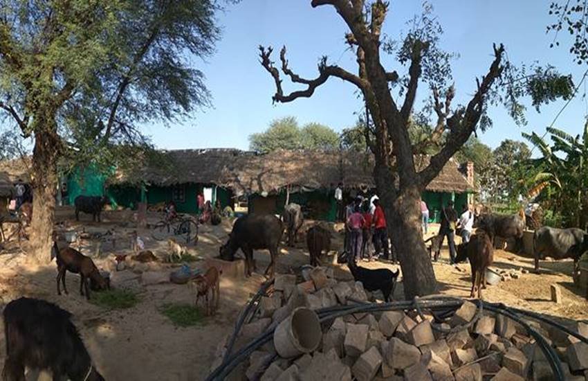 बेटी की चाहत में पैदा किए सात लड़के, जब खेत में मिली नवजात तो CWC बता रहा कानून