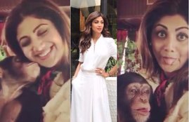 shilpa shetty in dubai, shilpa and son viaan with chimpanzee, shilpa shetty named chimpanzee Princess, shilpa deleted video, shilpa shetty in dubai, shilpa and son viaan with chimpanzee, shilpa shetty named chimpanzee Princess, shilpa deleted video, bollywood updates in hindi, bollywood news in hindi, bollywood updates in hindi, bollywood news in hindi, entertainment news in hindi, bollywod updates in hindi