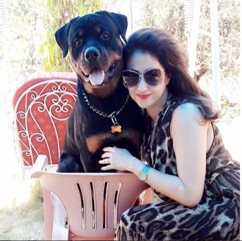 urmila matondkar, urmila matondkar Latest Photos, urmila matondkar Desi Look, urmila matondkar Marriage, urmila matondkar Movies, actress urmila matondkar