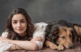 Alia Bhatt, Alia Bhatt Troll, Trolled, Diwali, Patakha Ban, Crackers Ban, Supreme Court Decision, Bollywood on Patakha Ban, Alia Bhatt Supreme Court Support