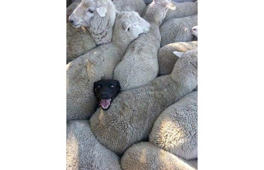 funny pictures, lathicharge,truckfixing,globe in hand,global problem,bedmad,adjustment,jugad technology,funny character,funny pic,funny truck line,global warming,bedtime stories,funny charging