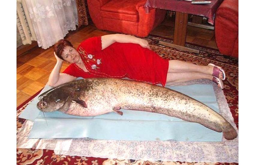 funny photos on social media, funniest social media posts, funny social media comments, funniest photos on social media, social media funniest photos, Social Media funny photos, Social Media funniest photos, funniest photos on Social Media, funniest photos social media pictures, funny pictures viral on social media, funny pictures viral on facebook, funny pictures viral on twitter, funny pictures viral on instagram, funny pictures viral on youtube, youtube funny videos, funniest photos ever, funniest photos ever on social media,funniest photos ever in the world, fiunny women pics, funny style of women, funny activity of women, funny moods of women ,latest news, latest updates"