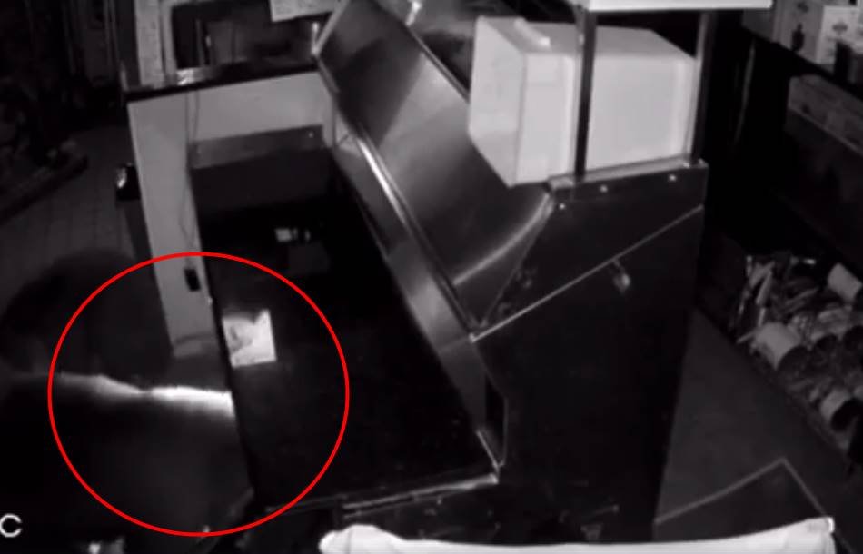 अमेरिका के कोलरैडो शहर में एक पिज्जा शॉप में तीन भूखे भालू घुस आए थे, जिसकी सीसीटीवी फुटेज दुकान के मालिक ने सोशल मीडिया पर पोस्ट की है।  अमेरिका के कोलरैडो शहर में एक पिज्जा शॉप में तीन भूखे भालू घुस आए थे, जिसकी सीसीटीवी फुटेज दुकान के मालिक ने सोशल मीडिया पर पोस्ट की है।