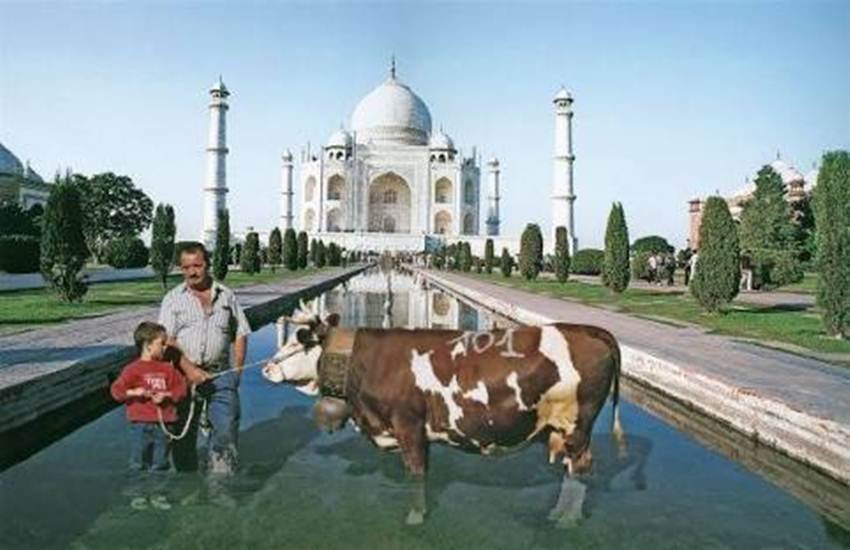 Taj Mahal, Taj Mahal Photo, Yogi Adityanath