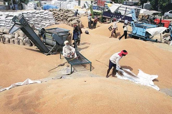 संपादकीयः निवाले की लूट