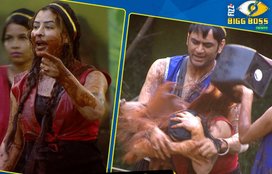 bigg boss 11, bigg boss season 11, bigg boss 11 24th october 2017, bigg boss 11 24th october 2017 episode, bigg boss 11 episode 23, bigg boss 11 episode 23, bigg boss 11 live streaming, bigg boss 11 episode 23 watch online, bigg boss 11 episode 23 full, live bigg boss 11 episode 23, bigg boss 11 bigg boss season 11 episode 23, bigg boss news, bigg boss 11 full episode 23, bigg boss 11 full episode