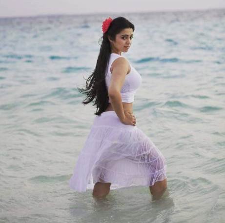 Hyderabad Highcourt, Tollywood Actress, Charmi kaur, Drugs racket, Tollywood Actress charmi kaur, charmi kaur hot photos, charmi kaur gallery, charmi kaur jansatta, charmi kaur movie, charmi kaur bold