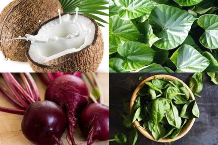 तेजी से बढ़ाने हैं खून में प्लेटलेट्स तो खाएं ये पांच आहार, इम्यून सिस्टम  भी होगा मजबूत | Jansatta