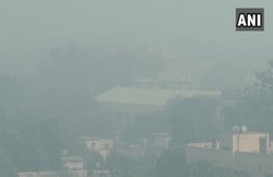 सुप्रीम कोर्ट ने यूपी, हरियाणा और राजस्‍थान की बीजेपी सरकार को लगाई फटकार- कुंभकर्ण की तरह सो रहे थे