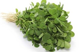 fenugreek leaves, fenugreek leaves benefits, fenugreek leaves benefits in hindi, fenugreek leaves for dengue, fenugreek leaves for increasing platelets, fenugreek leaves for cancer, fenugreek leaves for fever, fenugreek leaves for gas, health news in hindi, jansatta
