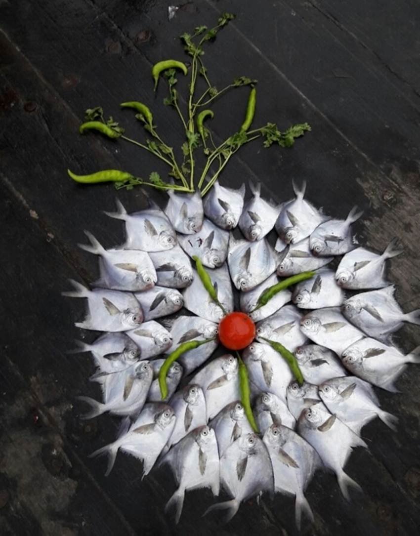 rangoli, rangoli designs, rangoli images, rangoli pictures, rangoli photo, rangoli pic, rangoli designs images, fish rangoli, creative fish rangoli, creative rangoli, unusual rangoli, unusual fish design, lates photos