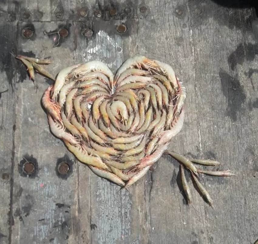 rangoli, rangoli designs, rangoli images, rangoli pictures, rangoli photo, rangoli pic, rangoli designs images, fish rangoli, creative fish rangoli, creative rangoli, unusual rangoli, unusual fish design, lates photos