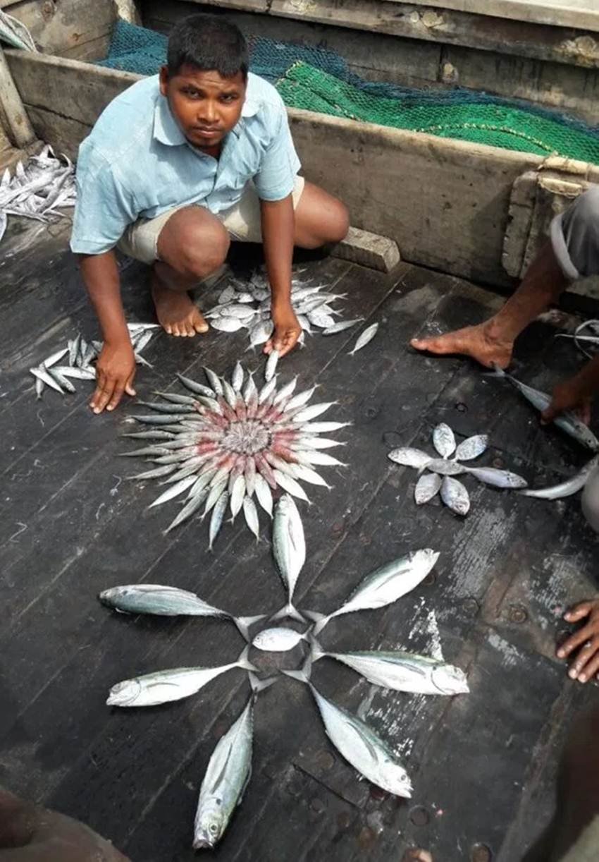 rangoli, rangoli designs, rangoli images, rangoli pictures, rangoli photo, rangoli pic, rangoli designs images, fish rangoli, creative fish rangoli, creative rangoli, unusual rangoli, unusual fish design, lates photos