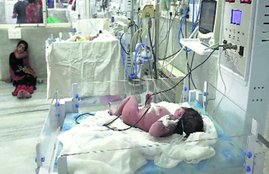 Newborn Deaths, Newborn Deaths in Gujrat, SIT Probe, SIT Probe in Newborn Deaths, 11 Newborn Deaths, 11 Newborn Deaths in 36 hours, Congress Demands, Congress Demands SIT Probe, State news