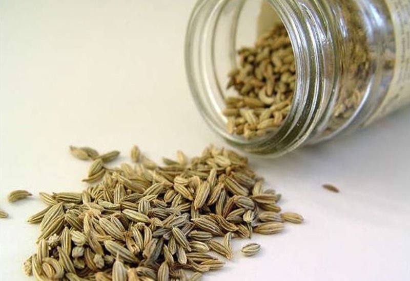 Fennel, Fennel facts, Fennel benefits, Fennel religion, Fennel and astrology, Fennel Astrological Benefits, Astrological Benefits, Astrological Benefits of fennel, Fennel And Sugar, Fennel And Sugar news, religion news