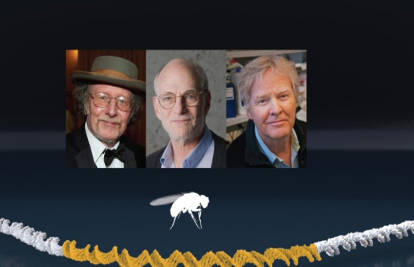 Nobel Prize, American Scientists, Physiology Nobel Prize, Nobel Prize 2017, Nobel Prize For Medicine, Nobel Prize Announcement, Three American Scientists Won, Physiology or Medicine Nobel Prize, Jeffrey C. Hall, Michael Rosbash, Michael W. Young, International News, Jansatta