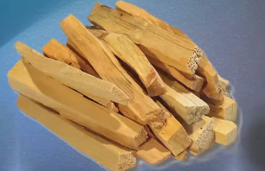 sandalwood, sandalwood face packs, sandalwood remedies in hindi, face packs in hindi, chandan face packs, sandalwood powder, sandalwood face pack, beauty tips in hindi, lifestyle news in hindi, jansatta