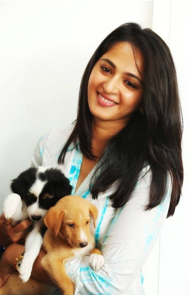 Anushka Shetty Husband prabas, anushka shetty, happy birthday anushka shetty, anushka shetty birthday, anushka shetty age, anushka shetty date of birth, baahubali, baahubali actor, baahubali devsena, anushka shetty films, vedam, arundhati, billa, inji Iduppazhagi, Deiva Thirumagal, anushka shetty Superhit movies, anushka shetty birthday, anushka shetty hot pics, anushka shetty cars collection, anushka shetty ads, anushka shetty latest photos, anushka shetty love life